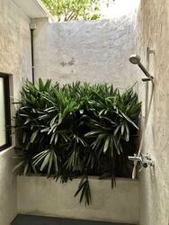 Olive Road (D11), Detached #554609411